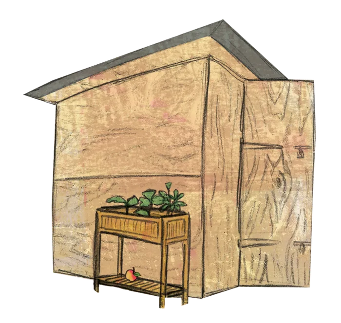 Our allotment shed
